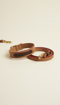Set collar y correa serie artista taupe